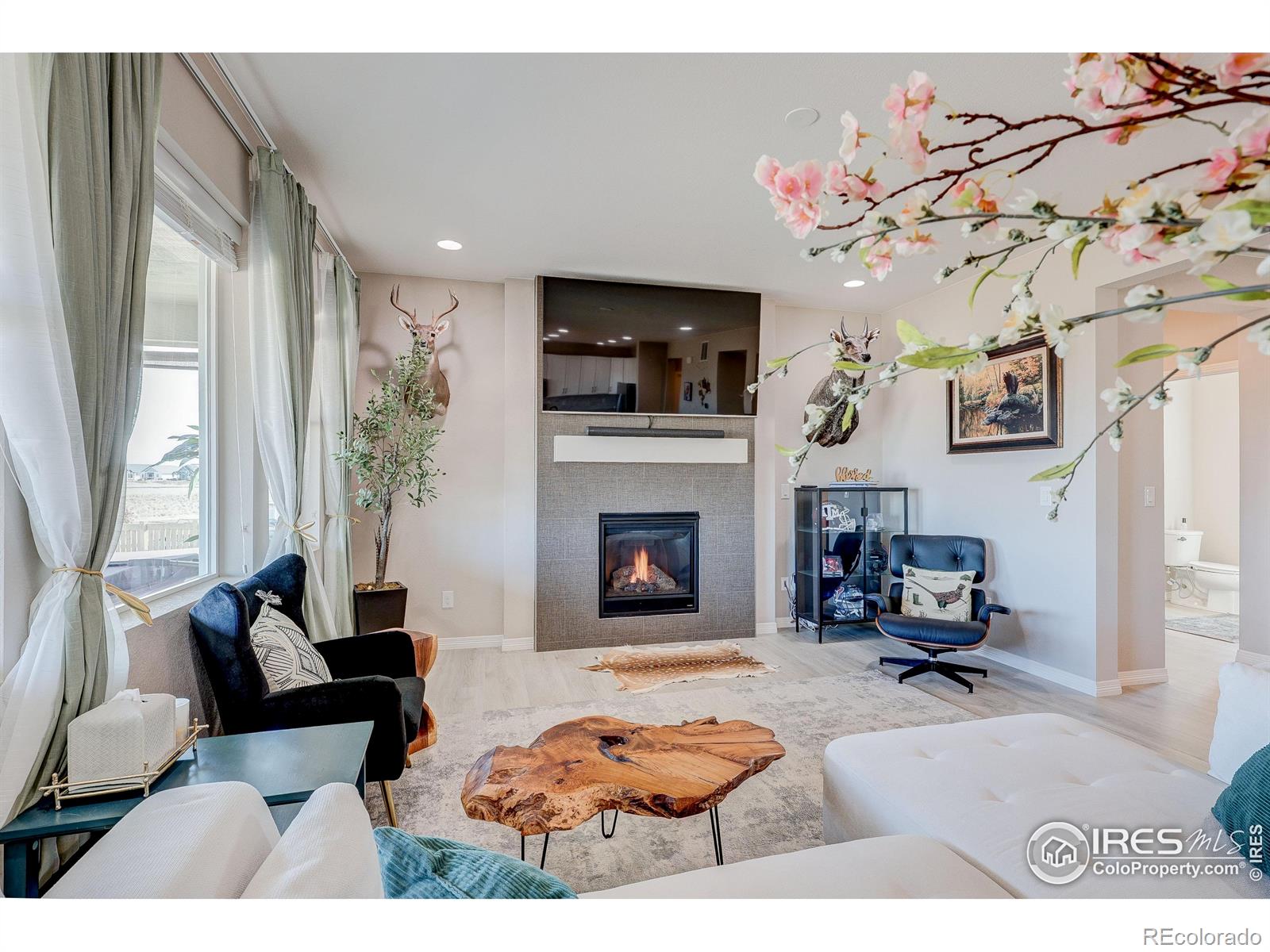 MLS Image #4 for 6410  verna court,timnath, Colorado
