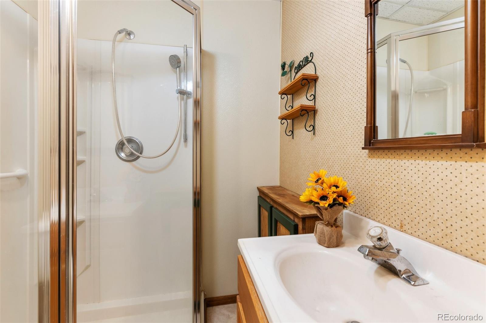 MLS Image #28 for 2300  rampart range road,woodland park, Colorado