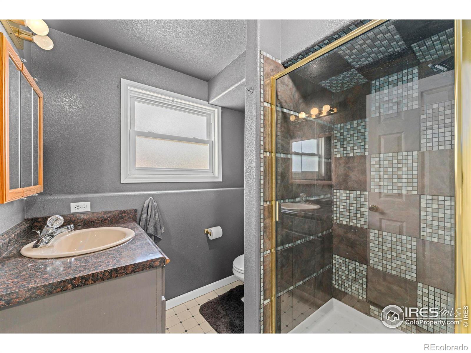 MLS Image #22 for 124  adams way,firestone, Colorado
