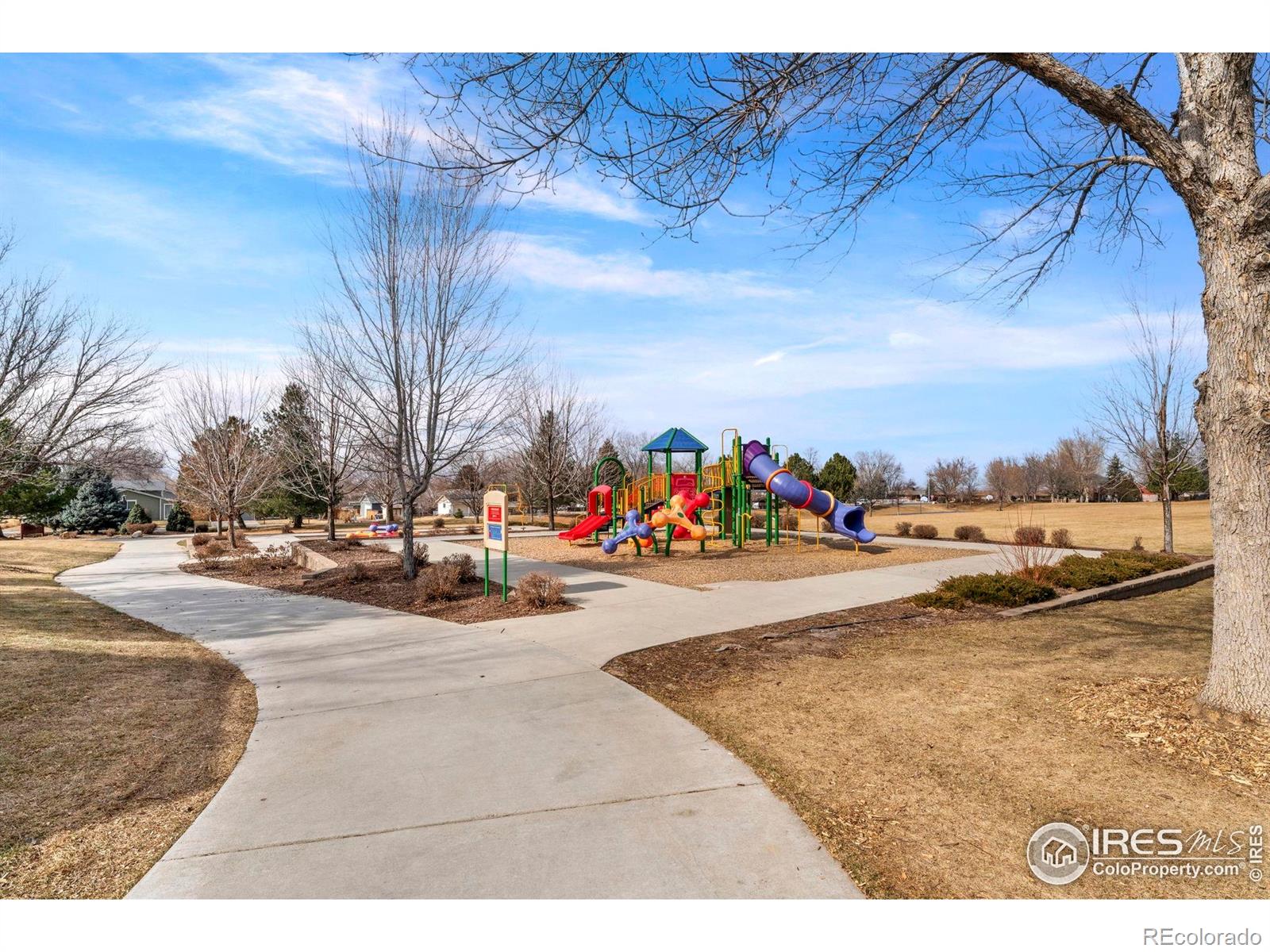 MLS Image #26 for 124  adams way,firestone, Colorado