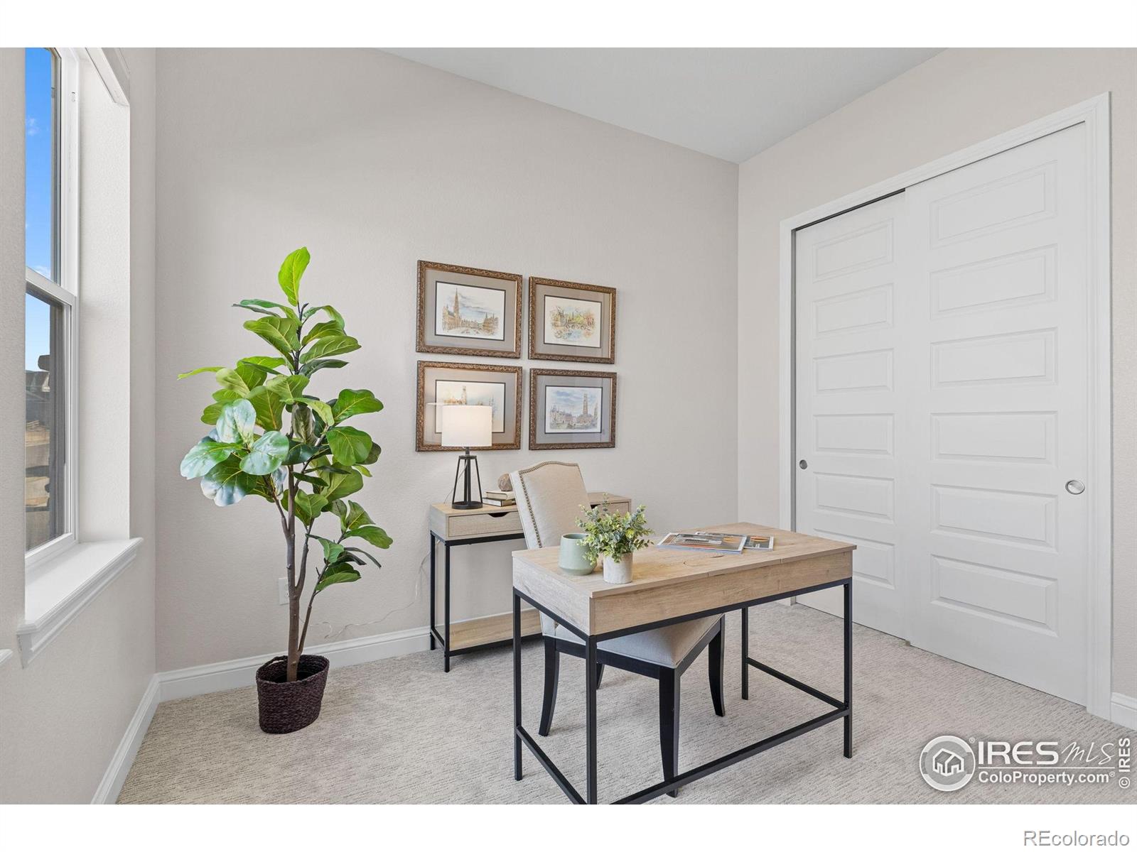 MLS Image #33 for 1115  fox hills court,erie, Colorado