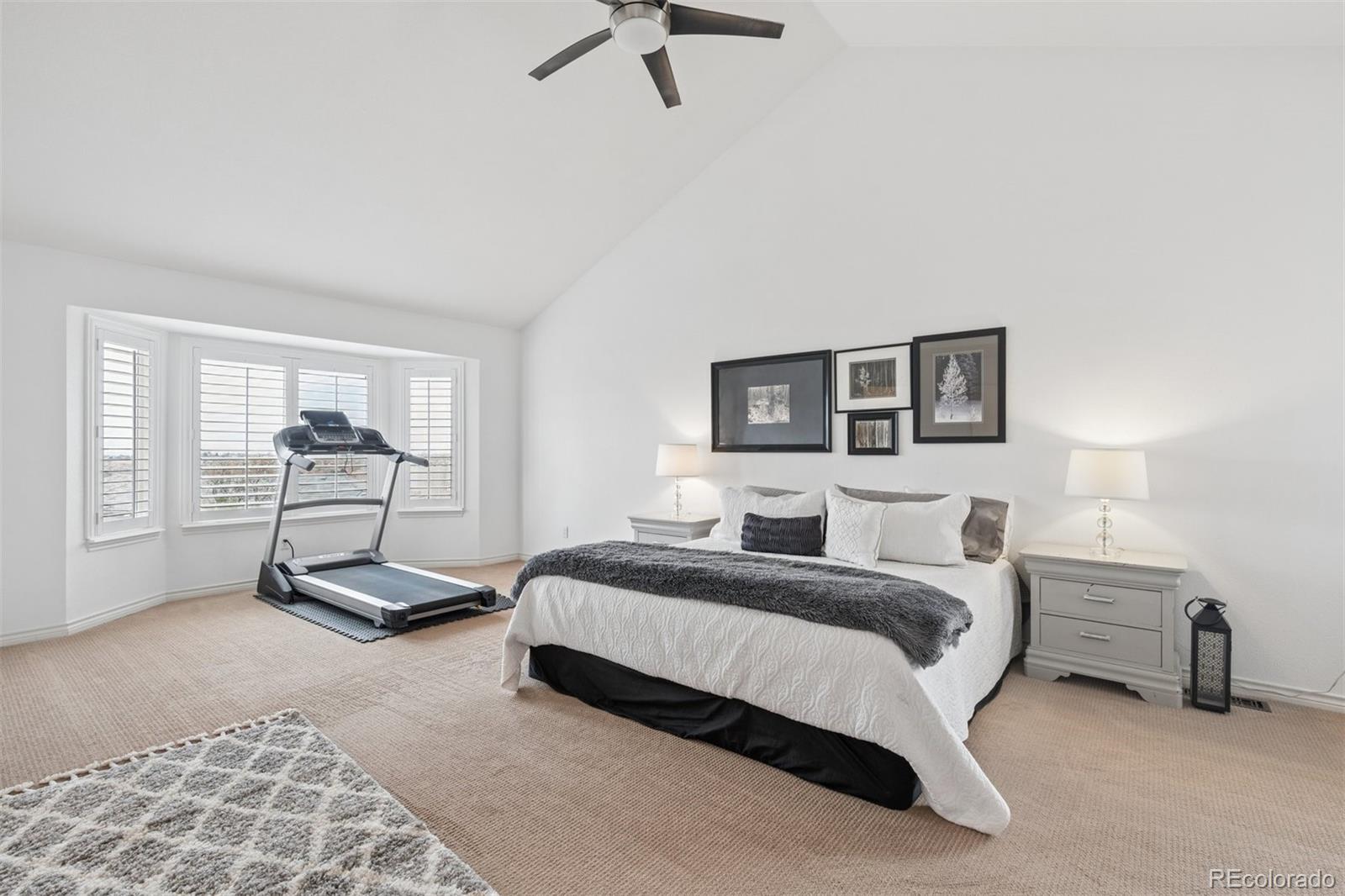 MLS Image #11 for 2959  clairton drive,highlands ranch, Colorado