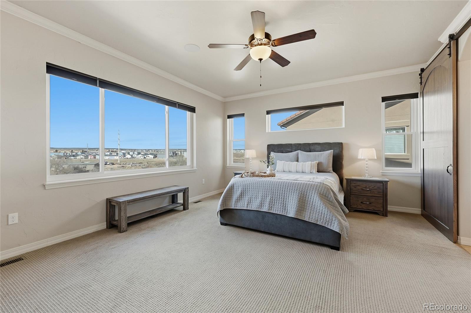 MLS Image #16 for 7210  silver buckle drive,colorado springs, Colorado
