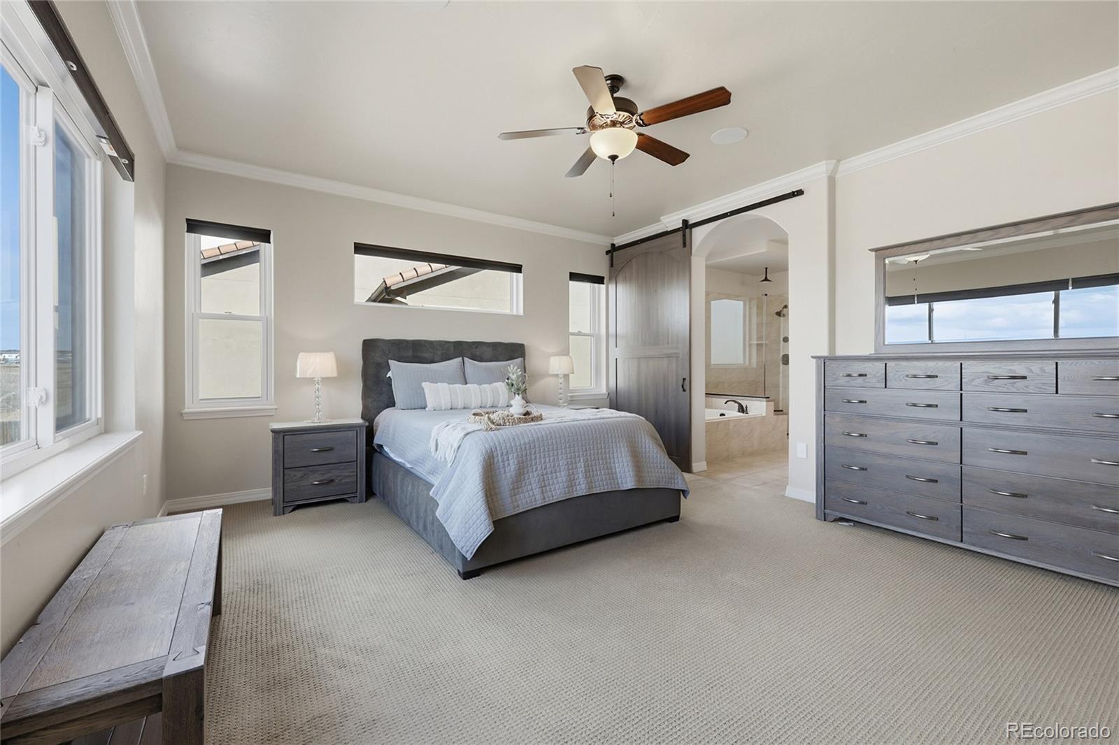 MLS Image #17 for 7210  silver buckle drive,colorado springs, Colorado