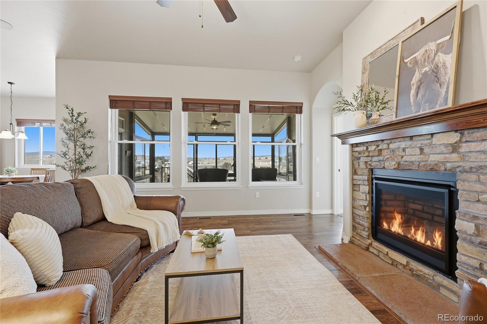 MLS Image #8 for 7210  silver buckle drive,colorado springs, Colorado