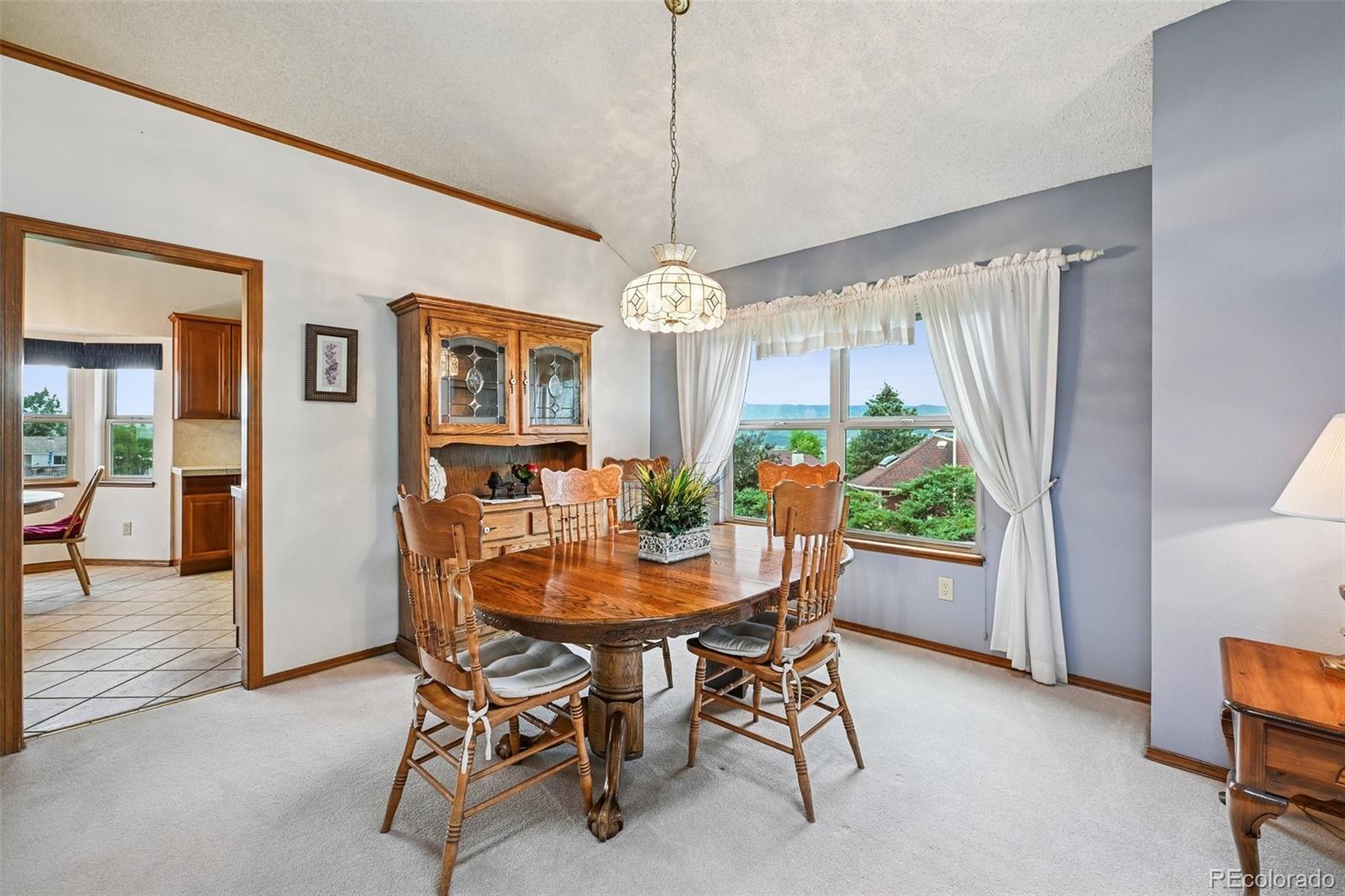 MLS Image #10 for 435  picasso court,colorado springs, Colorado