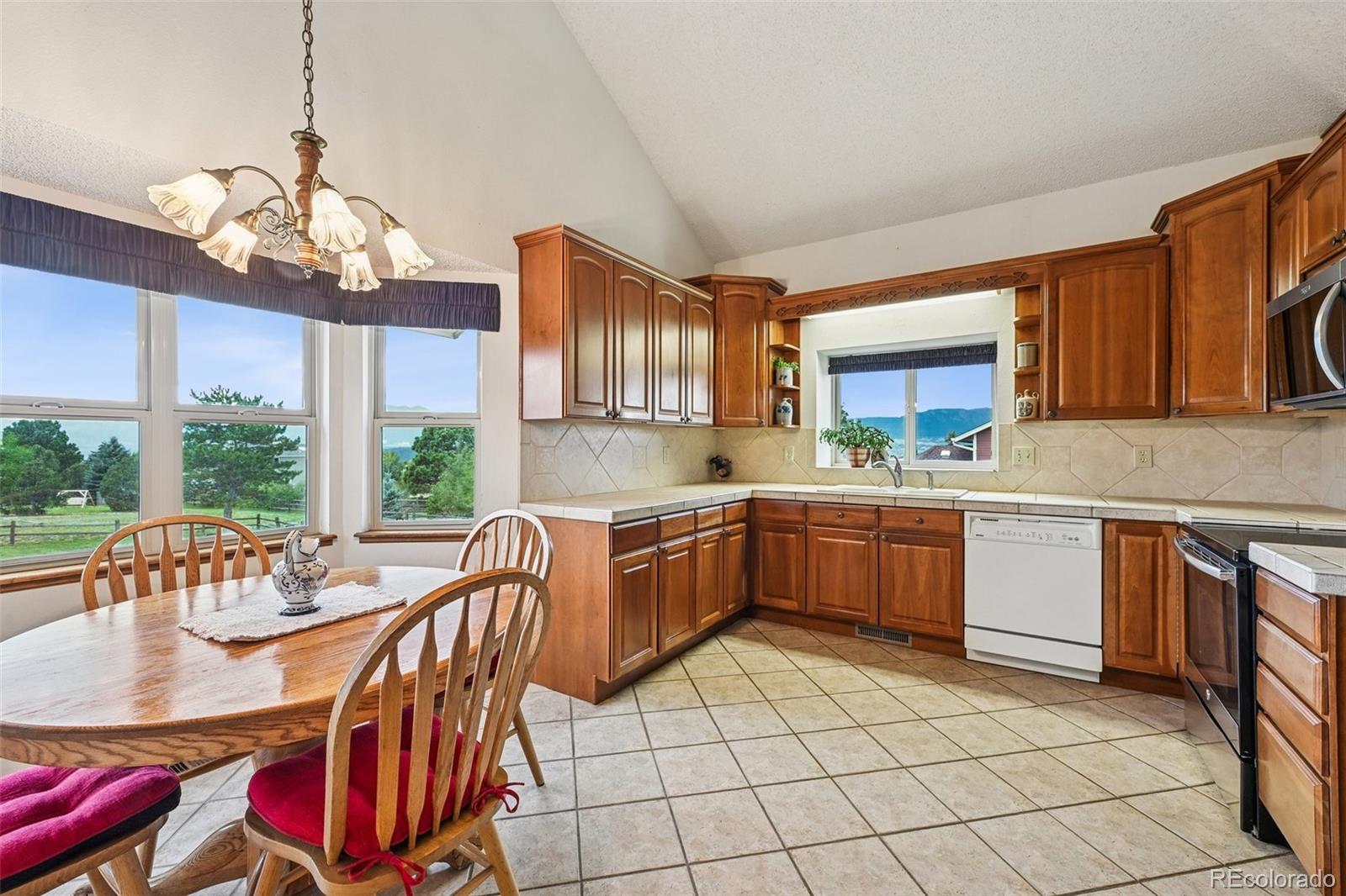 MLS Image #11 for 435  picasso court,colorado springs, Colorado