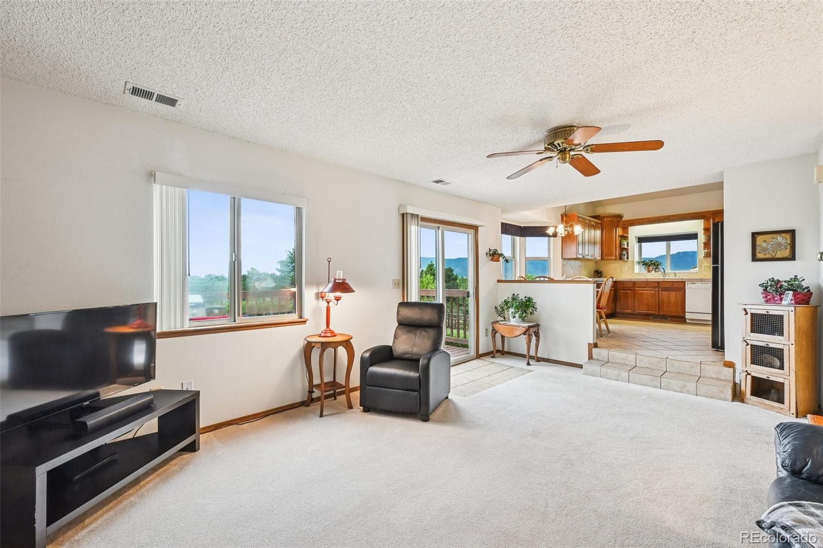 MLS Image #16 for 435  picasso court,colorado springs, Colorado