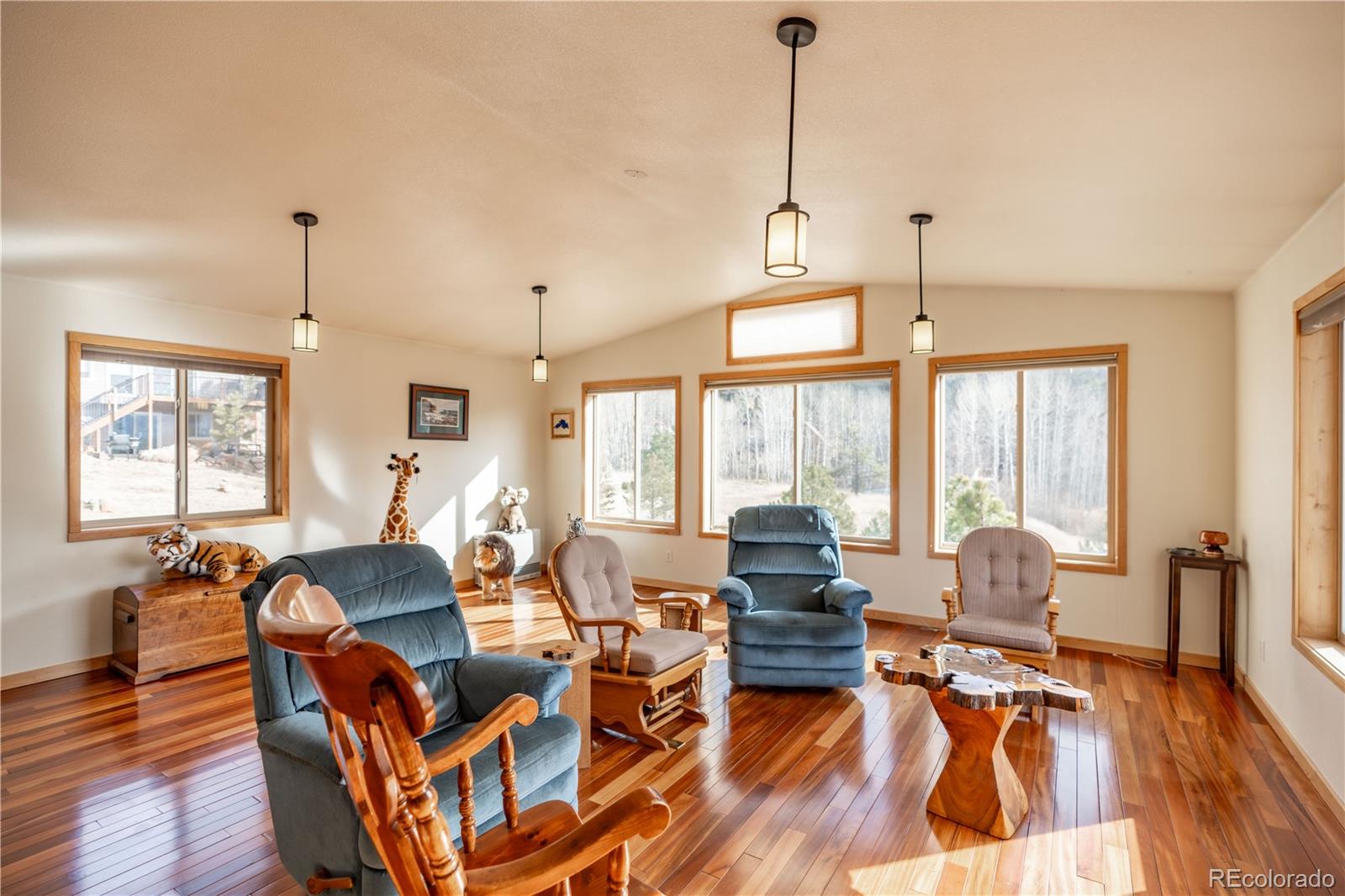 MLS Image #10 for 212  wisp creek drive,bailey, Colorado