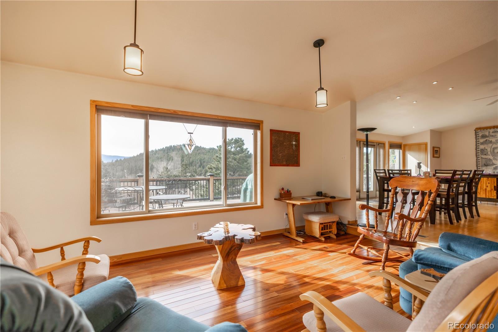 MLS Image #11 for 212  wisp creek drive,bailey, Colorado