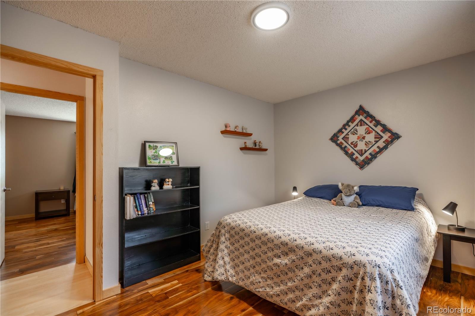 MLS Image #14 for 212  wisp creek drive,bailey, Colorado