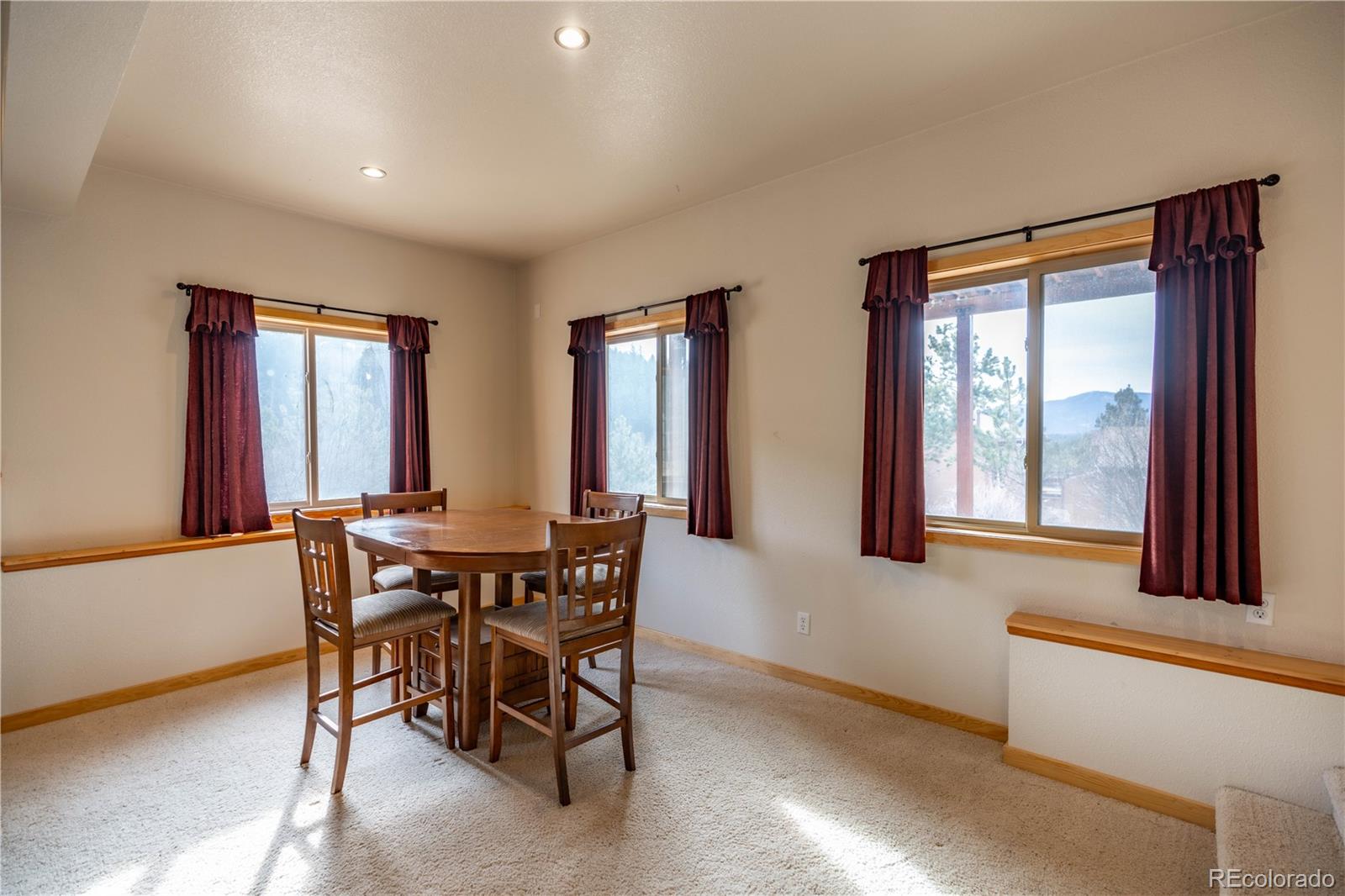 MLS Image #19 for 212  wisp creek drive,bailey, Colorado