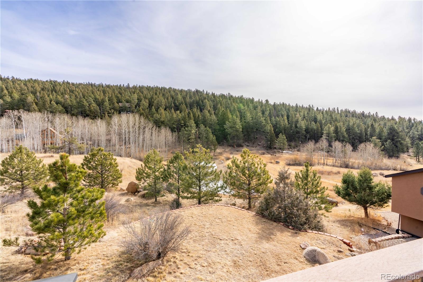 MLS Image #30 for 212  wisp creek drive,bailey, Colorado
