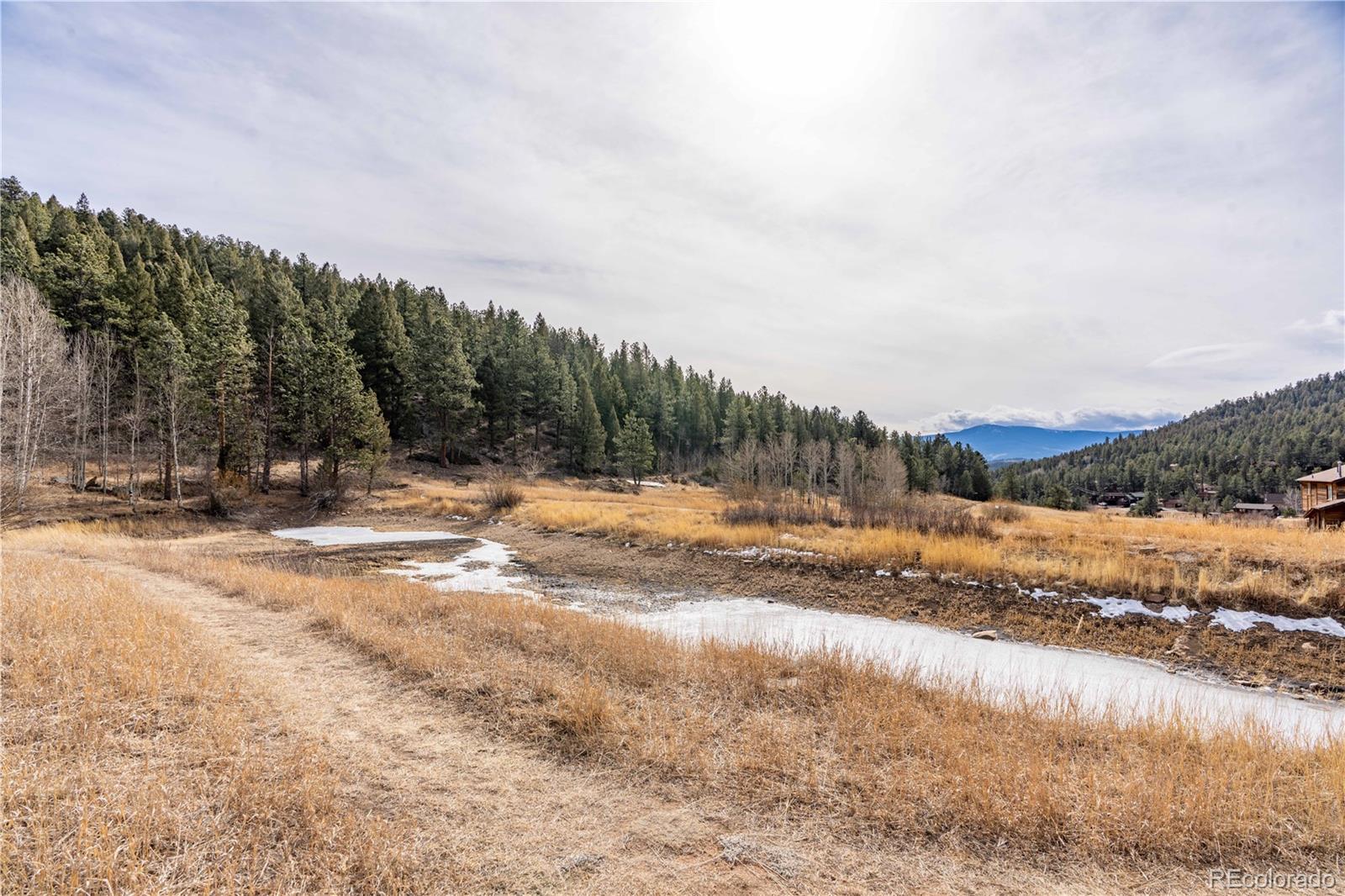 MLS Image #31 for 212  wisp creek drive,bailey, Colorado