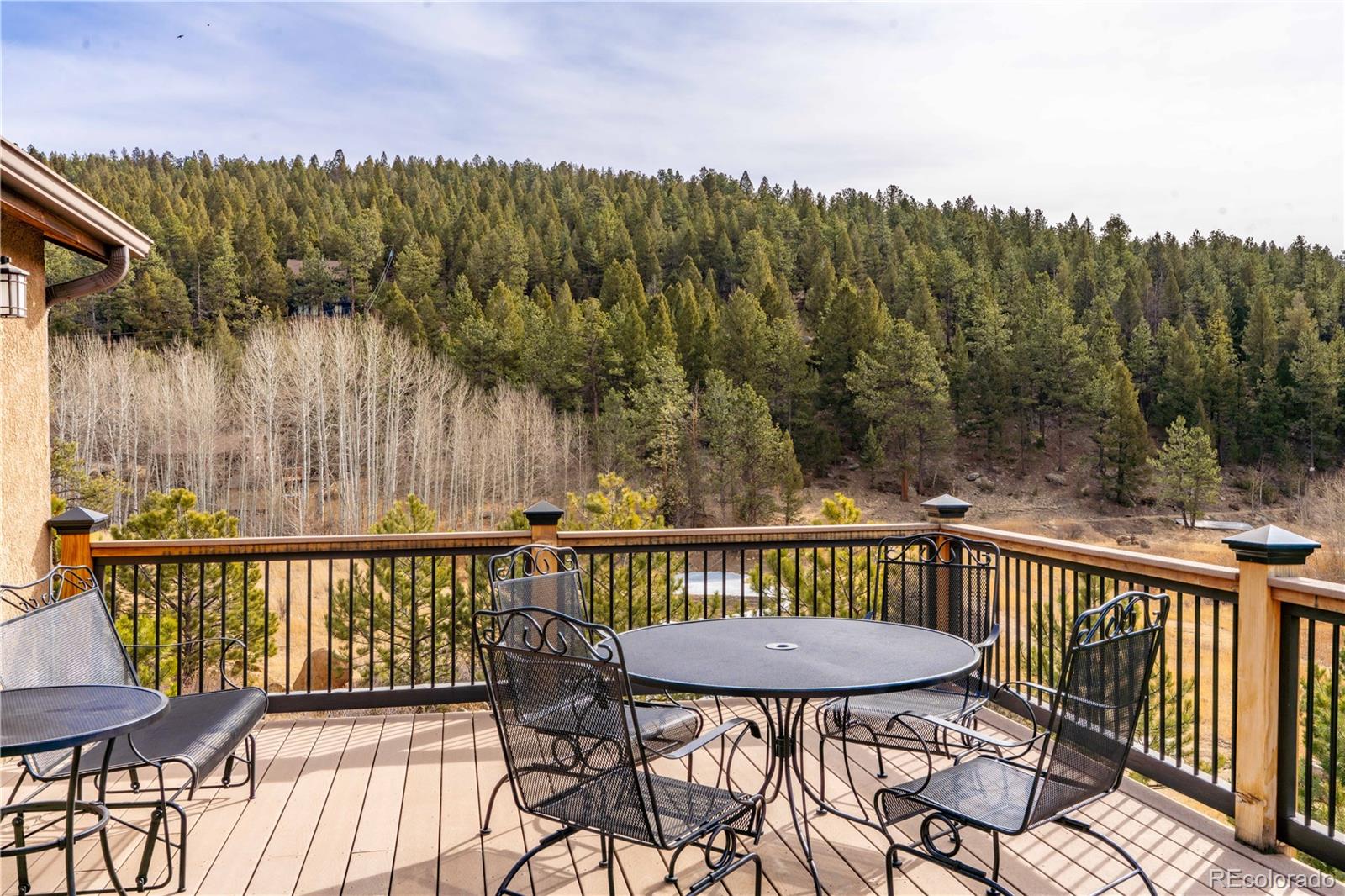 MLS Image #4 for 212  wisp creek drive,bailey, Colorado