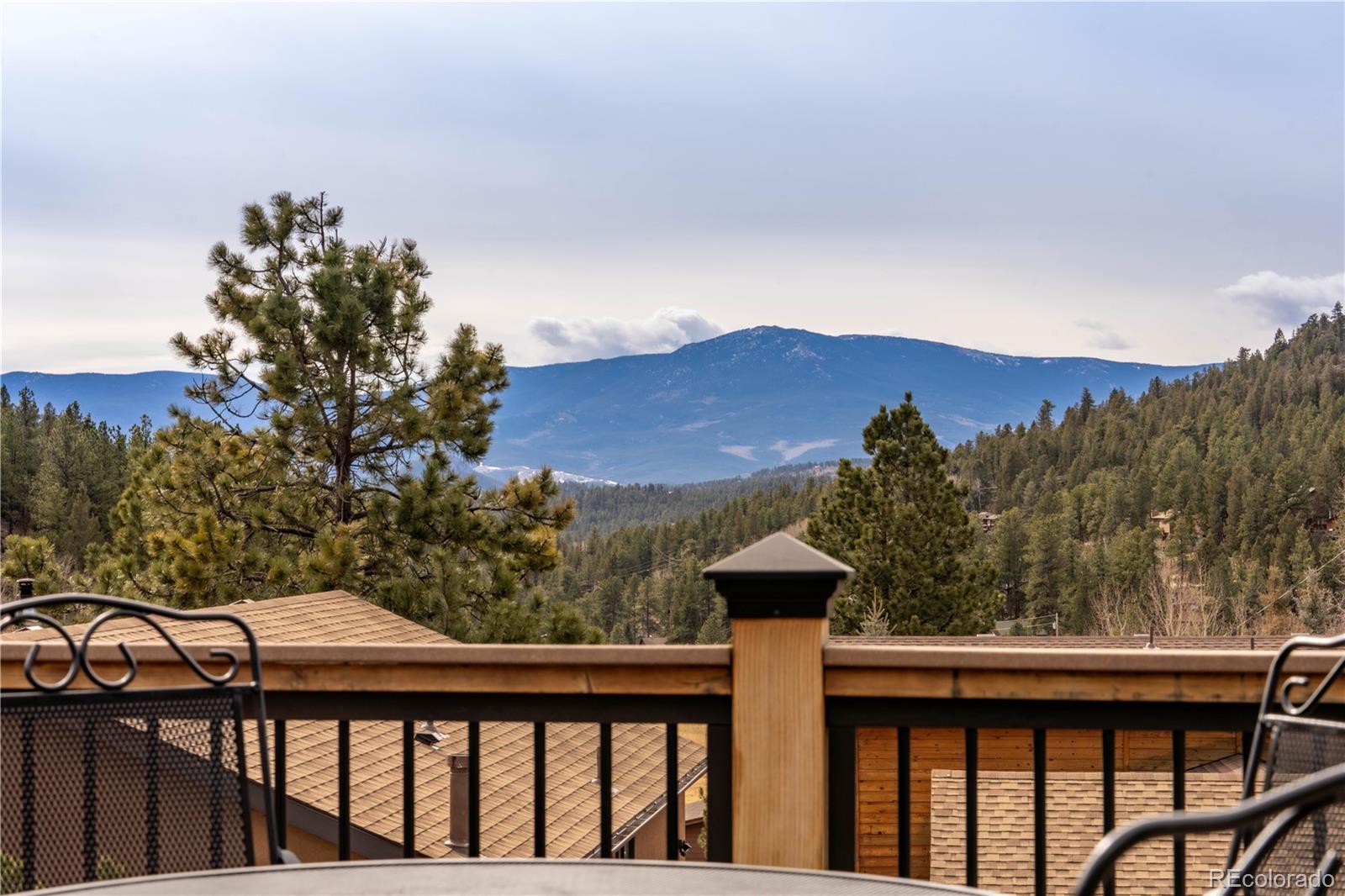 MLS Image #5 for 212  wisp creek drive,bailey, Colorado