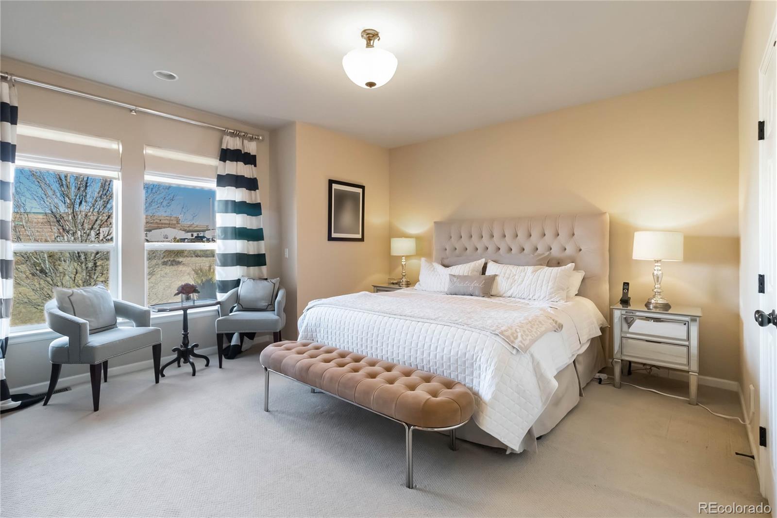 MLS Image #16 for 22959  cleveland drive,parker, Colorado