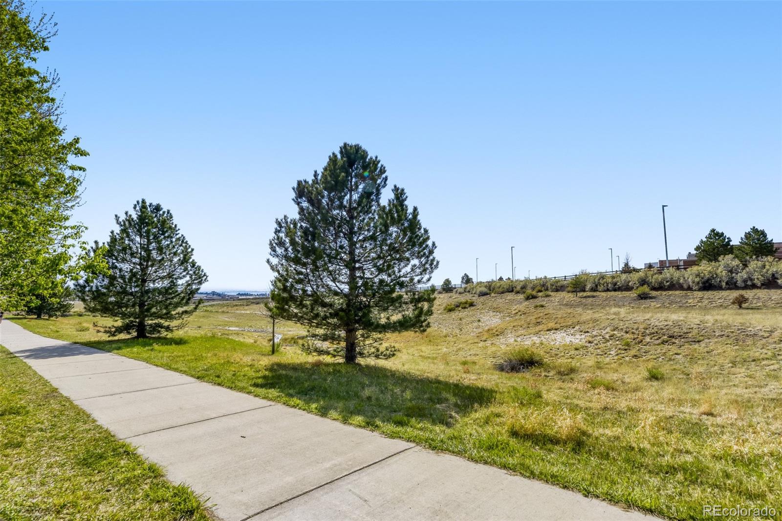MLS Image #41 for 22959  cleveland drive,parker, Colorado