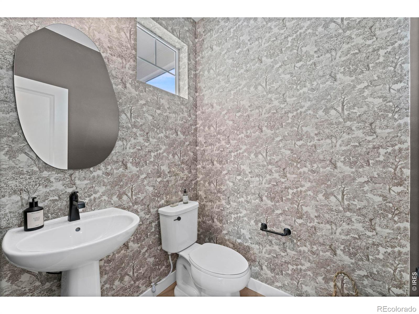 MLS Image #13 for 5386  cove street,firestone, Colorado