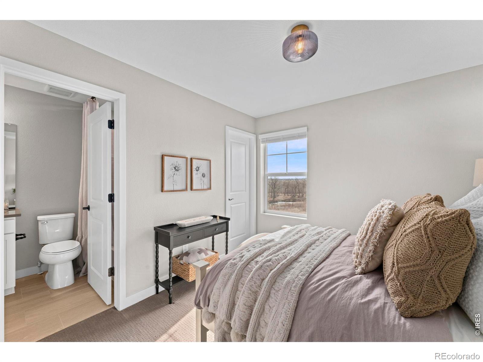 MLS Image #19 for 5386  cove street,firestone, Colorado