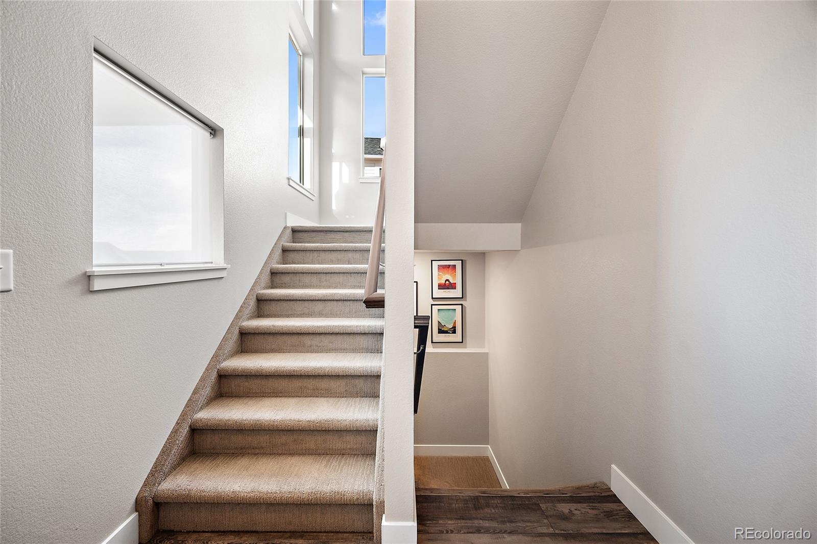 MLS Image #2 for 8047  gilpin peak drive,colorado springs, Colorado