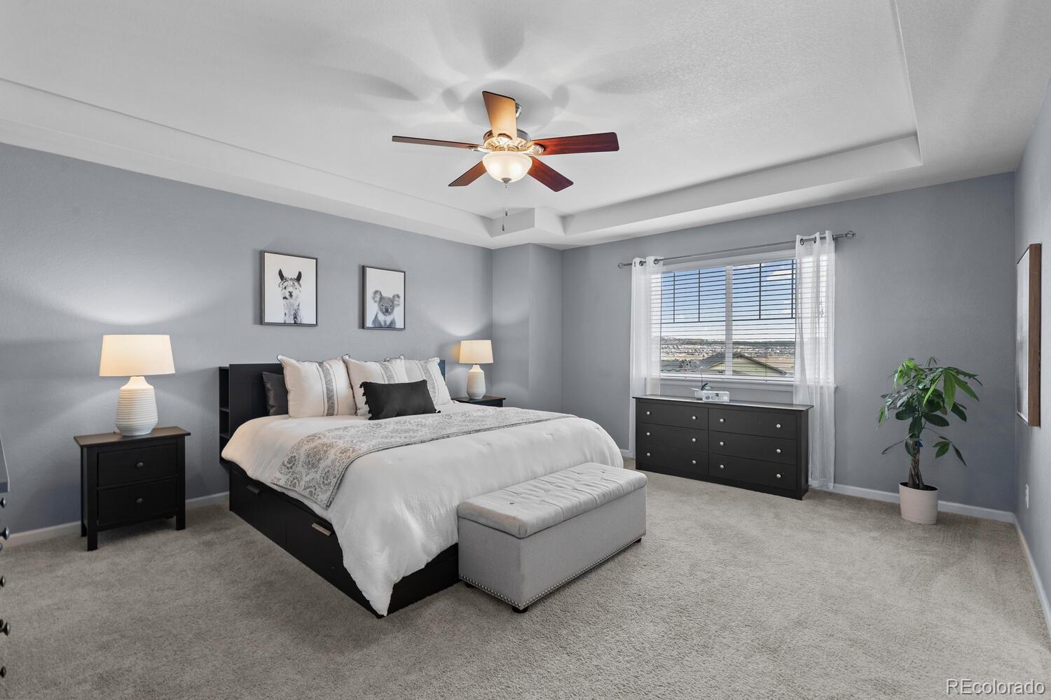 MLS Image #17 for 3096  riverwood way,castle rock, Colorado
