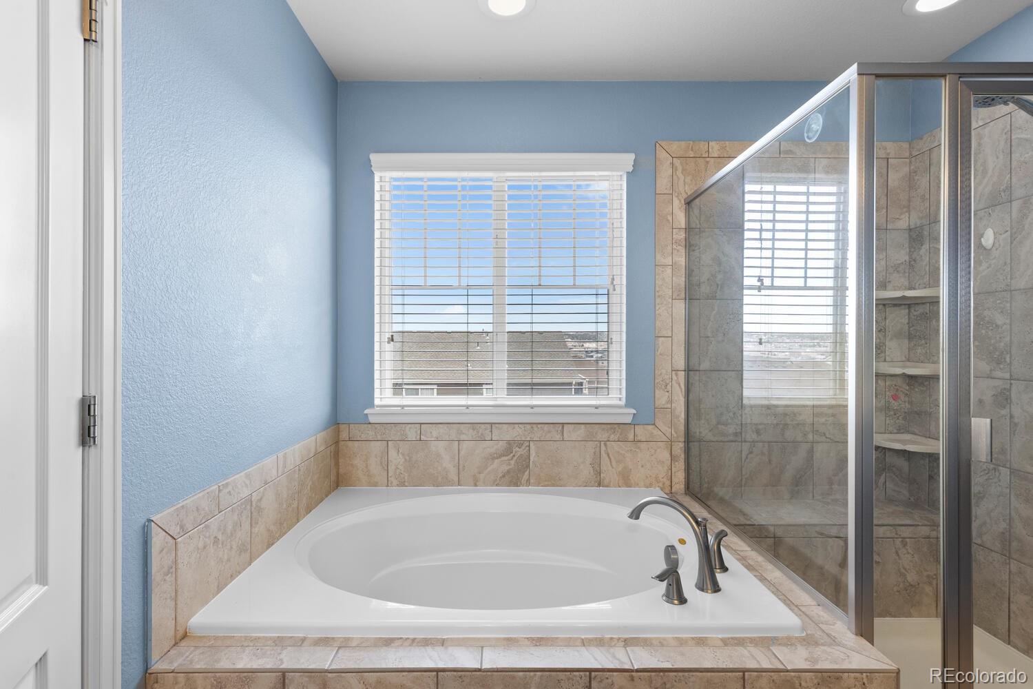 MLS Image #22 for 3096  riverwood way,castle rock, Colorado