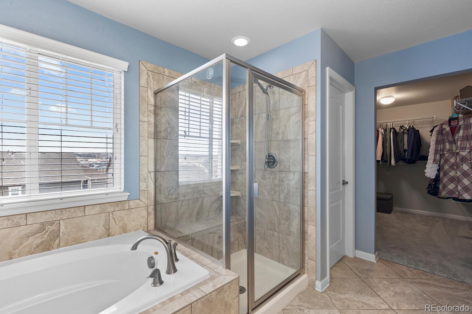 MLS Image #23 for 3096  riverwood way,castle rock, Colorado