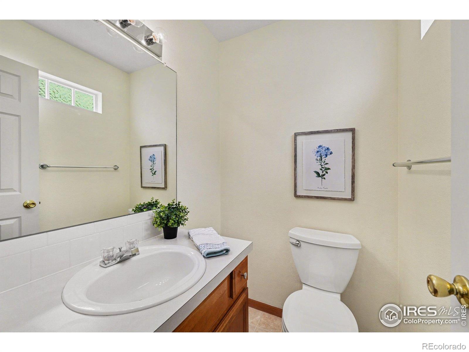 MLS Image #25 for 3525  auntie stone street,fort collins, Colorado
