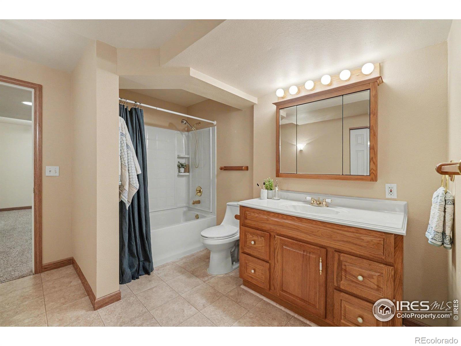 MLS Image #31 for 3525  auntie stone street,fort collins, Colorado