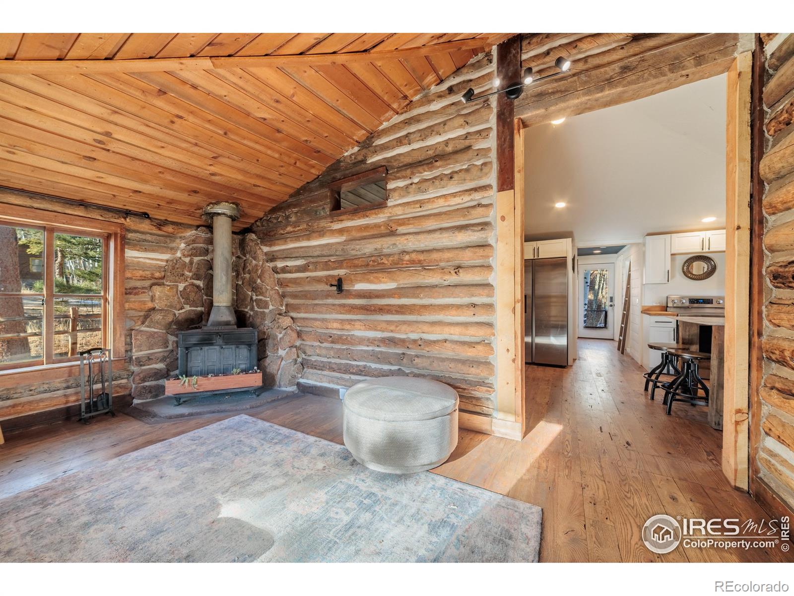 MLS Image #10 for 993  highway 7 business ,allenspark, Colorado