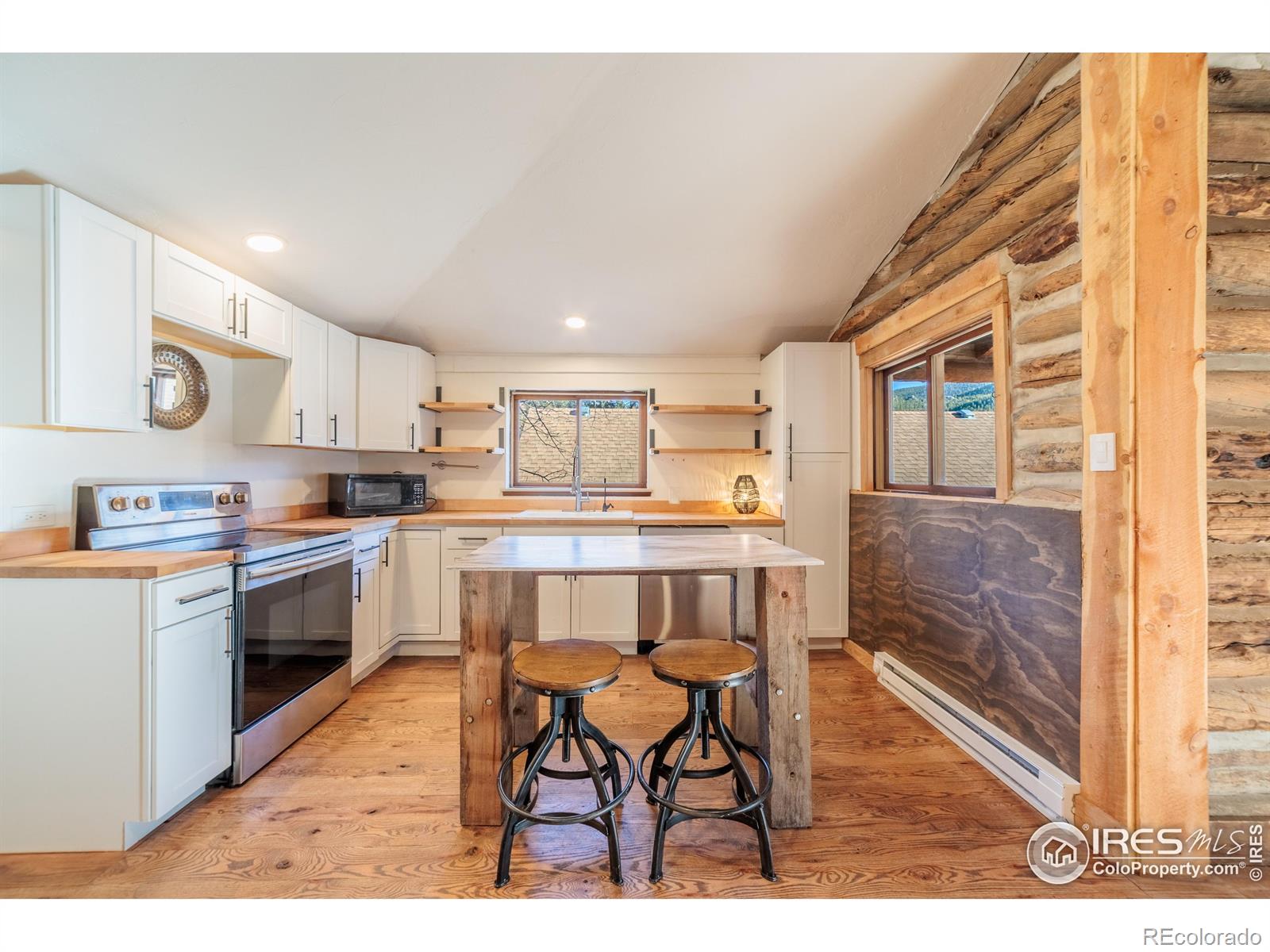 MLS Image #16 for 993  highway 7 business ,allenspark, Colorado