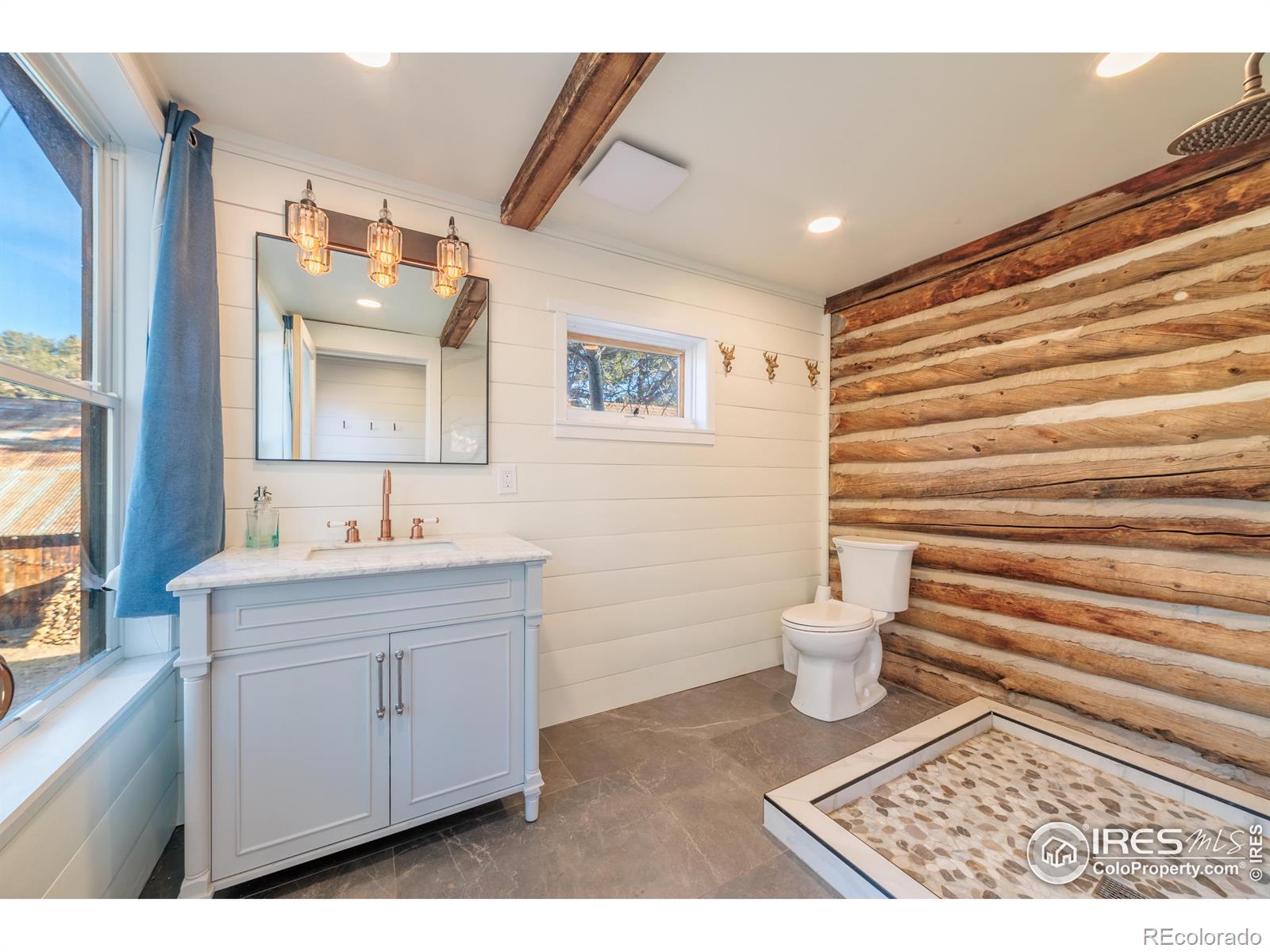 MLS Image #21 for 993  highway 7 business ,allenspark, Colorado