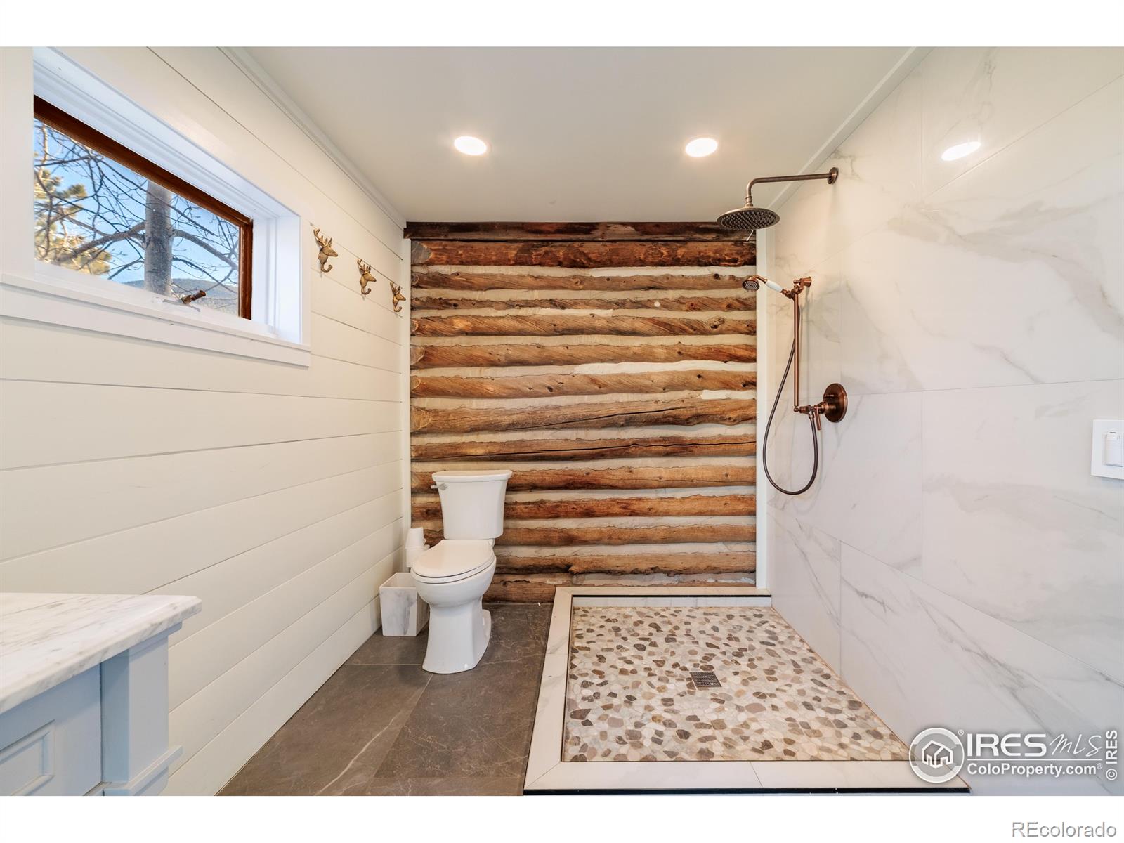 MLS Image #23 for 993  highway 7 business ,allenspark, Colorado