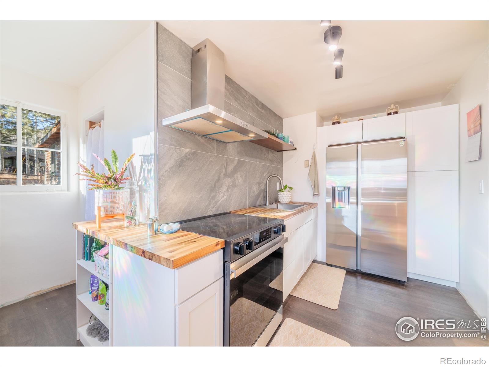 MLS Image #30 for 993  highway 7 business ,allenspark, Colorado