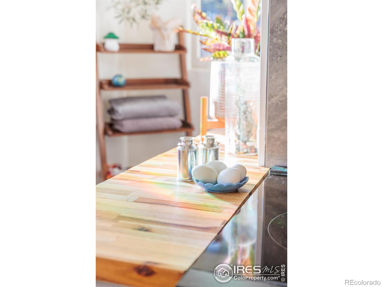MLS Image #32 for 993  highway 7 business ,allenspark, Colorado