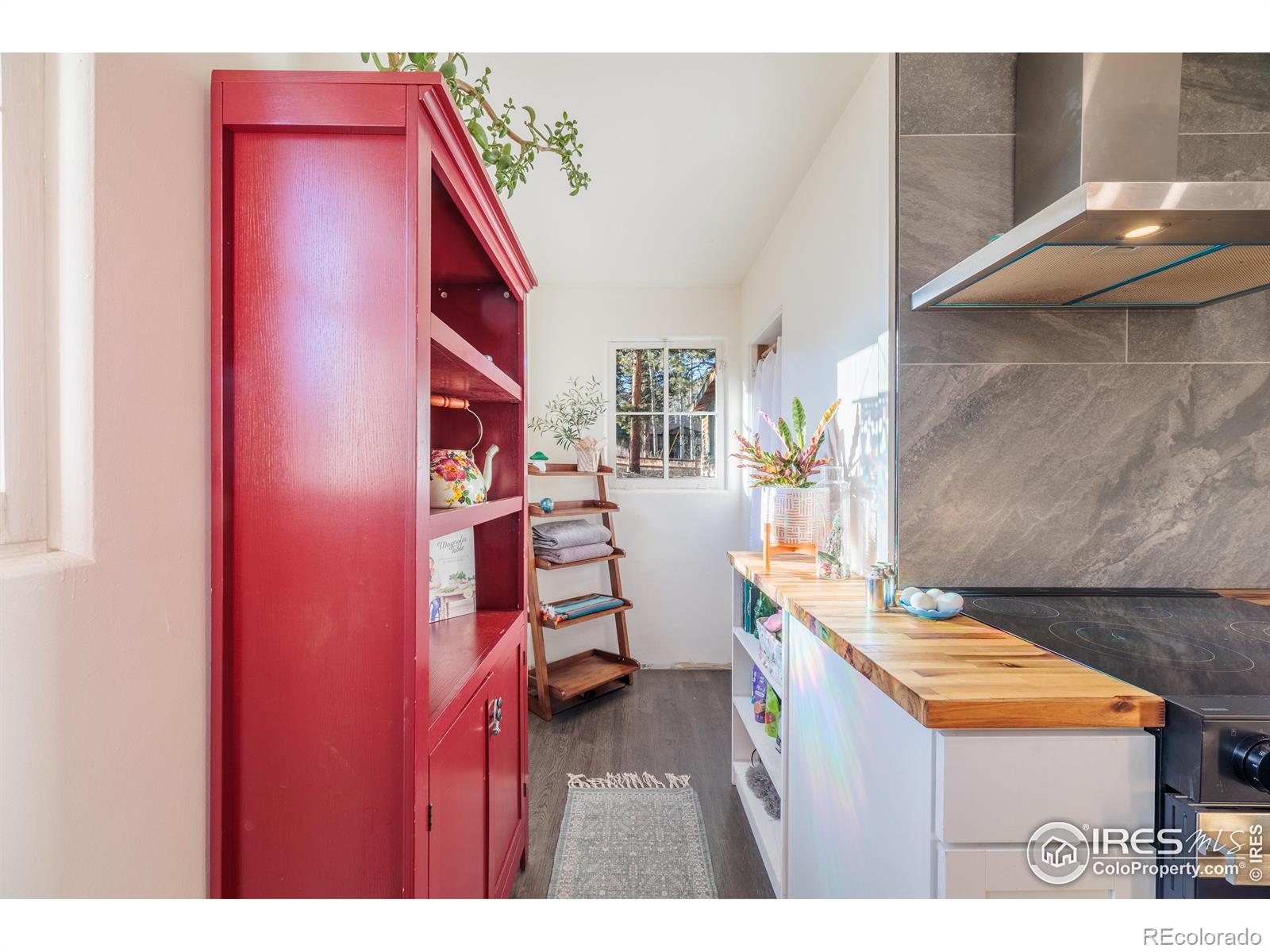 MLS Image #35 for 993  highway 7 business ,allenspark, Colorado