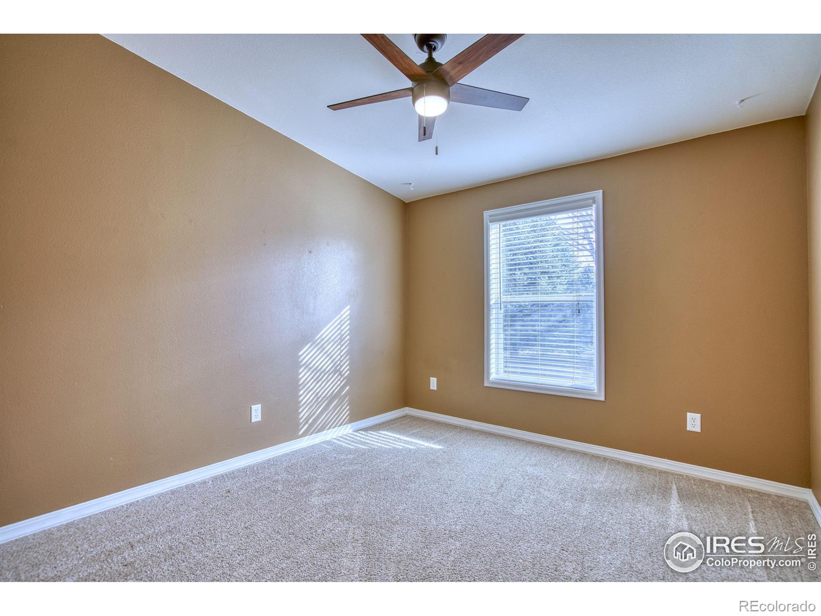 MLS Image #15 for 7745  primrose green,frederick, Colorado