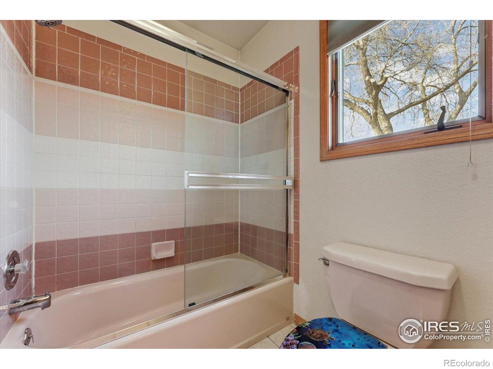 MLS Image #37 for 107 s 5th street,berthoud, Colorado