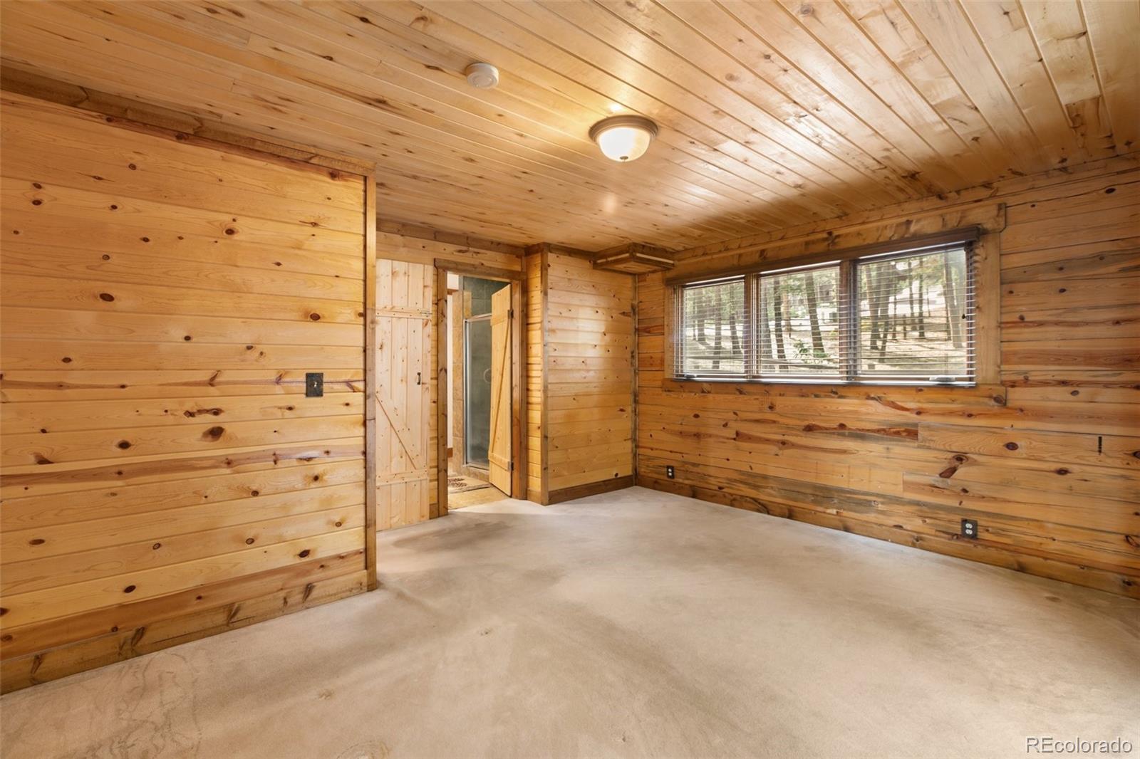 MLS Image #17 for 1325  spruce ridge lane,woodland park, Colorado