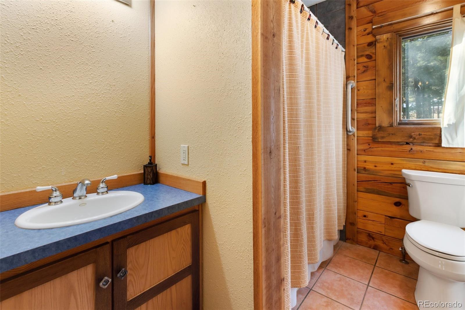 MLS Image #22 for 1325  spruce ridge lane,woodland park, Colorado