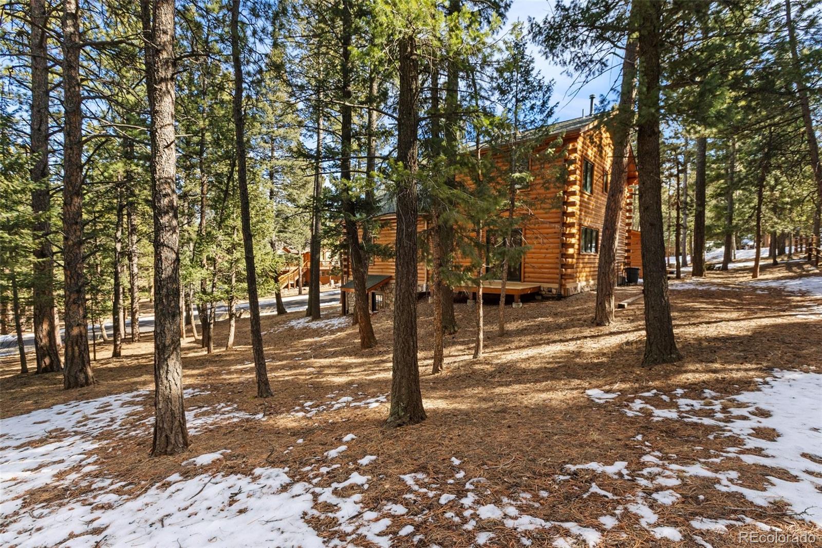 MLS Image #43 for 1325  spruce ridge lane,woodland park, Colorado
