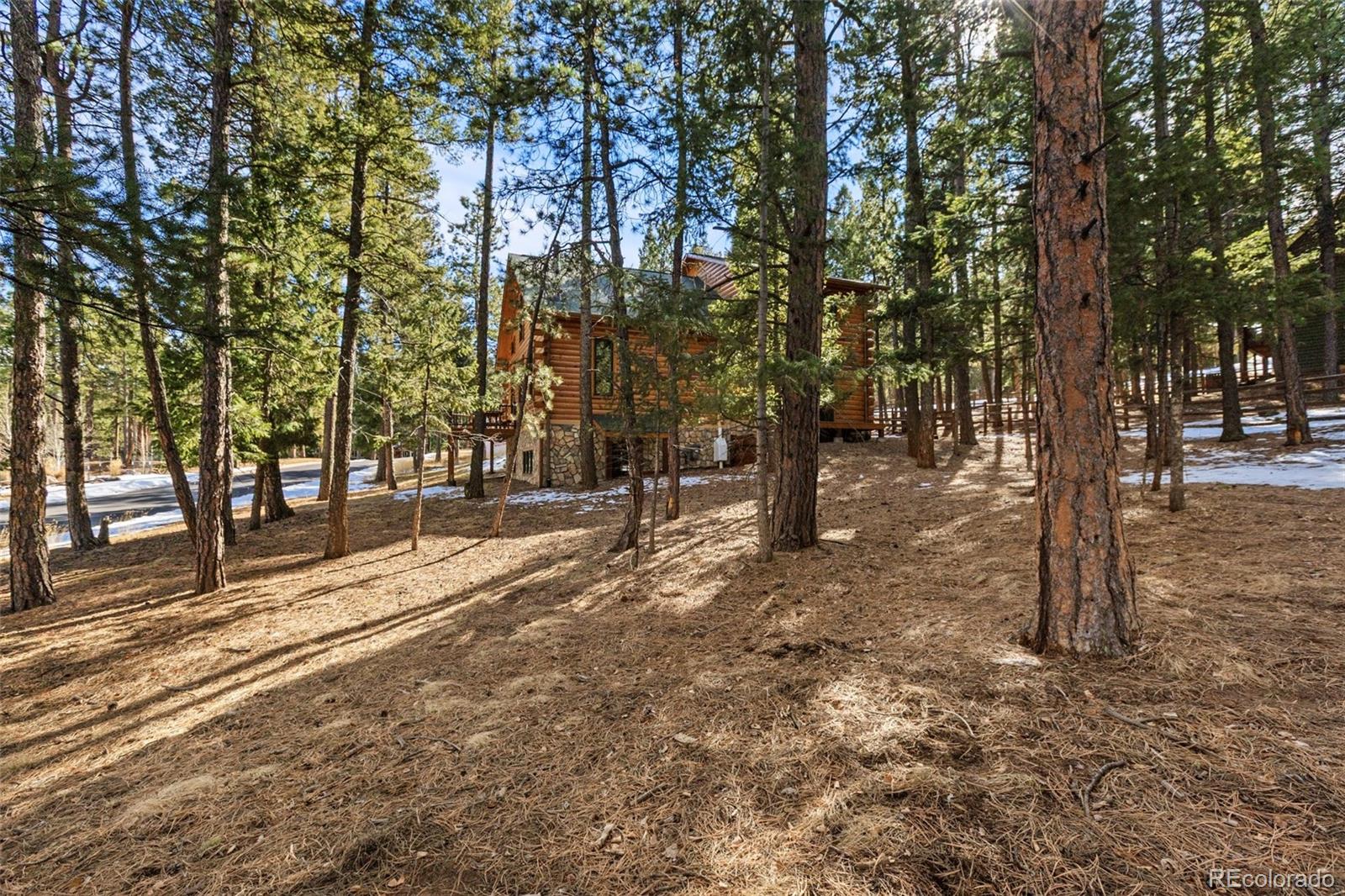 MLS Image #44 for 1325  spruce ridge lane,woodland park, Colorado