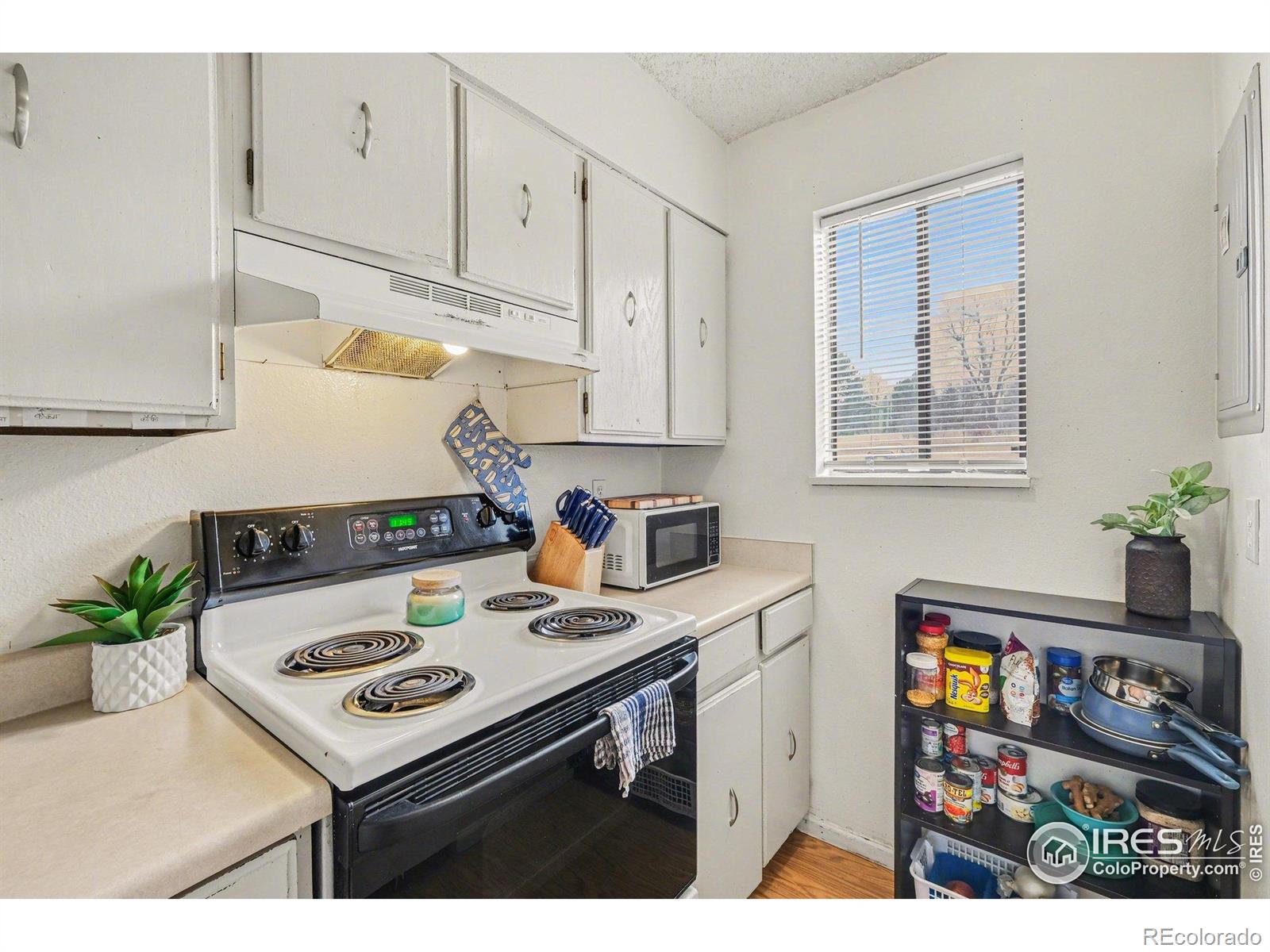 MLS Image #11 for 1705  heatheridge road,fort collins, Colorado