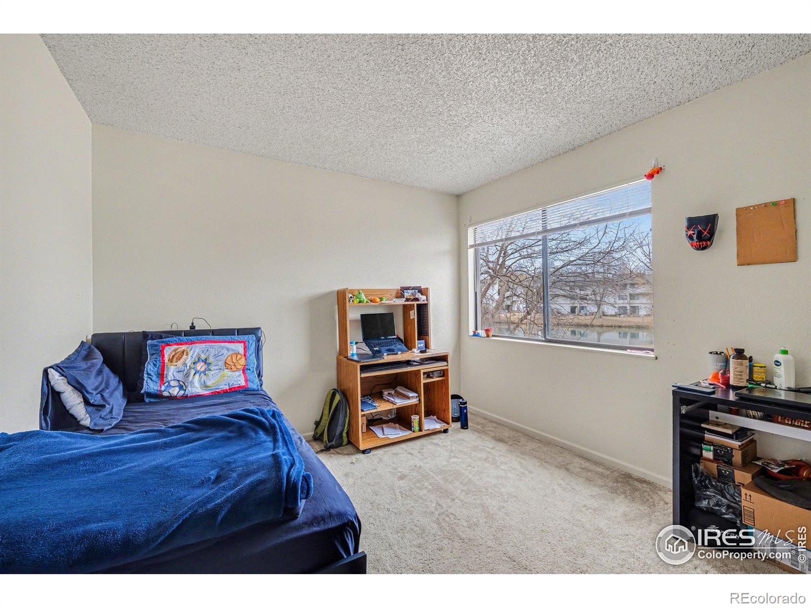 MLS Image #16 for 1705  heatheridge road,fort collins, Colorado