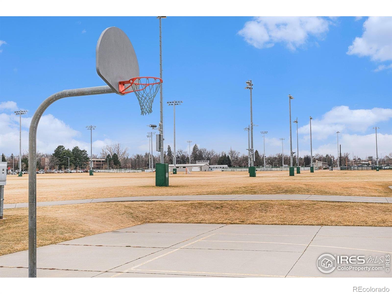 MLS Image #30 for 1705  heatheridge road,fort collins, Colorado