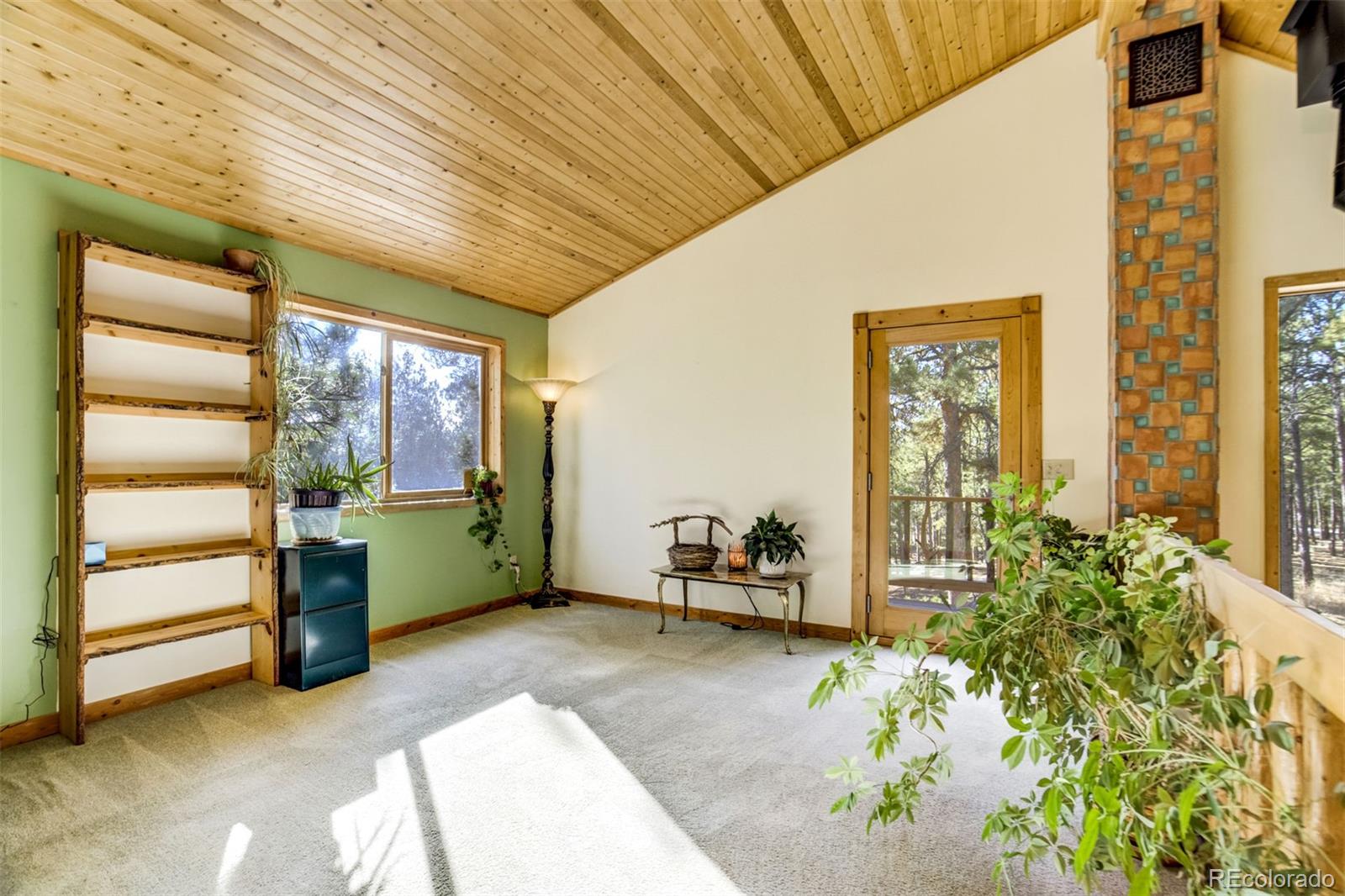 MLS Image #21 for 12225  glenridge lane,colorado springs, Colorado