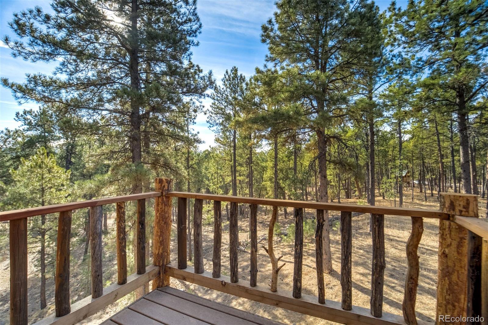 MLS Image #23 for 12225  glenridge lane,colorado springs, Colorado