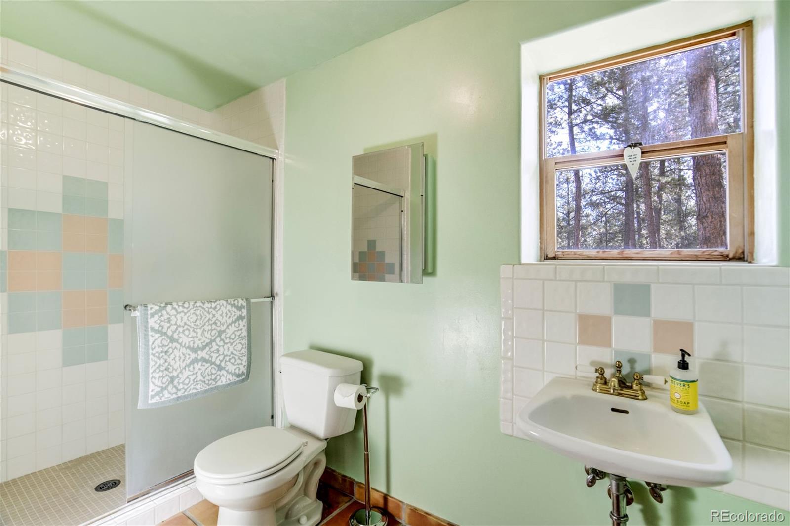 MLS Image #33 for 12225  glenridge lane,colorado springs, Colorado