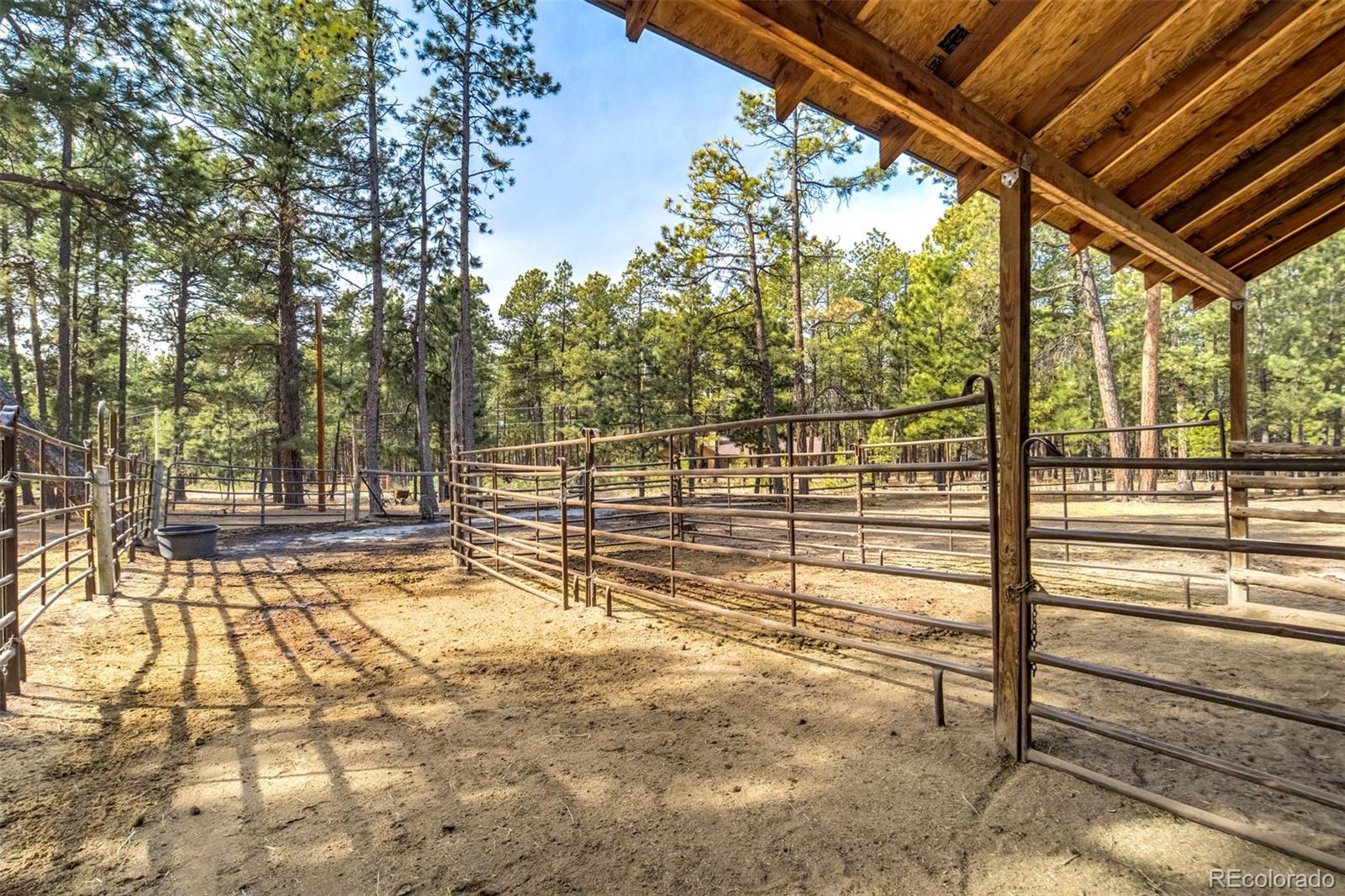 MLS Image #45 for 12225  glenridge lane,colorado springs, Colorado